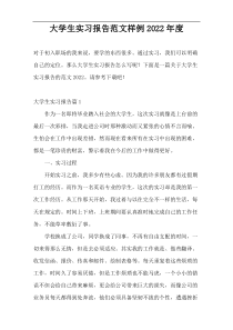 大学生实习报告范文样例2022年度