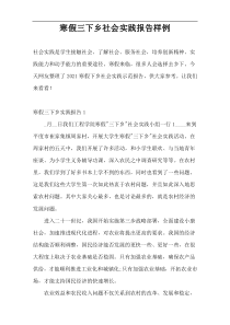 寒假三下乡社会实践报告样例