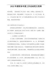 2022年度财务年度工作总结范文范例