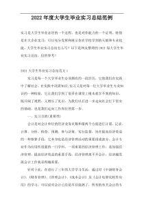 2022年度大学生毕业实习总结范例