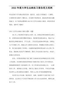 2022年度大学生出纳实习报告范文范例