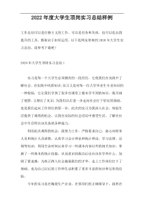 2022年度大学生顶岗实习总结样例