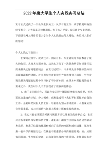 2022年度大学生个人实践实习总结