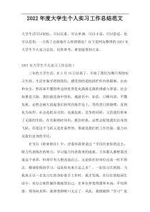 2022年度大学生个人实习工作总结范文