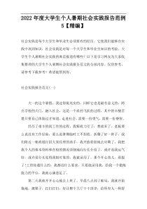 2022年度大学生个人暑期社会实践报告范例5【精编】