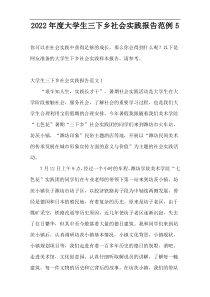 2022年度大学生三下乡社会实践报告范例5