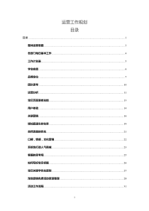 最珍贵-运营工作规划（给运营管理团队的方案）（DOC50页）