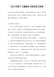 2022年度个人暑假实习报告范文范例