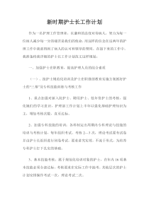 新时期护士长工作计划