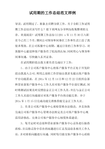 试用期的工作总结范文样例