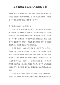 关于骆驼祥子的读书心得范例5篇