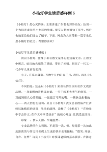 小桔灯学生读后感样例5