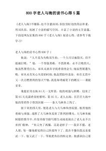 800字老人与海的读书心得5篇