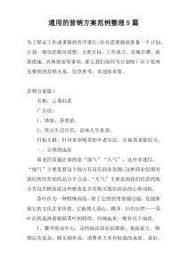 通用的营销方案范例整理5篇