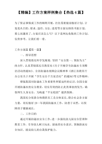 【精编】工作方案样例集合【热选4篇】