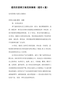 通用的营销方案范例集锦（通用4篇）