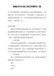 精编具体实施方案范例整理5篇