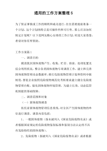 通用的工作方案整理5