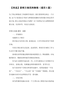 【热选】营销方案范例集锦（通用5篇）