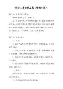 核心人才培养方案（精编5篇）