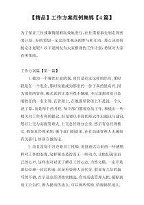 【精品】工作方案范例集锦【4篇】
