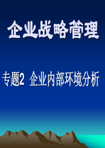326企业内部环境分析