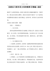 实践实习报告范文范例集锦【精编4篇】