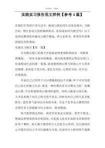 实践实习报告范文样例【参考4篇】