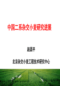 XXXX11北京小麦会议赵昌平研究员
