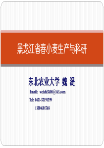 XXXX11北京小麦会议魏湜教授