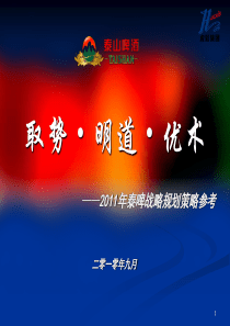 泰啤调研报告及XX年工作规划建议(定稿)