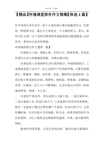 【精品】环境调查报告作文锦集【热选4篇】