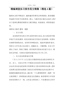 精编调查实习报告范文锦集（精选4篇）