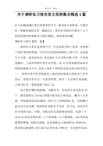 关于调研实习报告范文范例集合精选4篇