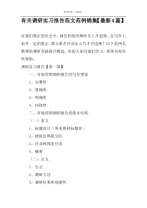 有关调研实习报告范文范例锦集【最新4篇】