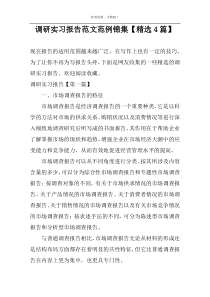 调研实习报告范文范例锦集【精选4篇】