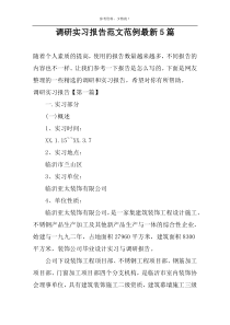 调研实习报告范文范例最新5篇