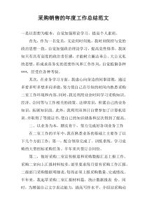 采购销售的年度工作总结范文