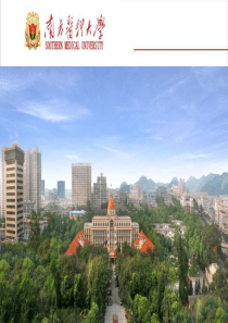 XXXX年中南六省管理工作会议发言1027