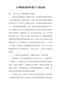小学财务室的年度个人的总结