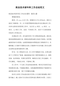 商品技术部年终工作总结范文