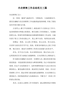 内衣销售工作总结范文三篇