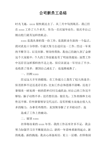 公司新员工总结