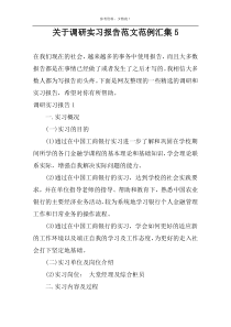 关于调研实习报告范文范例汇集5