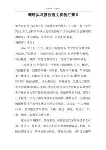 调研实习报告范文样例汇聚5