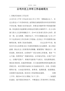 公司片区上半年工作总结范文