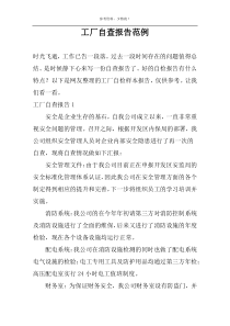 工厂自查报告范例