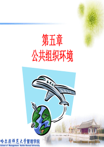 5公共组织环境