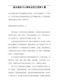 流水线实习心得体会范文范例5篇