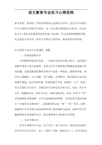 语文教育专业实习心得范例
